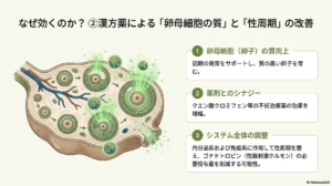 漢方介入エビデンス