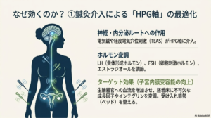 鍼灸介入エビデンス